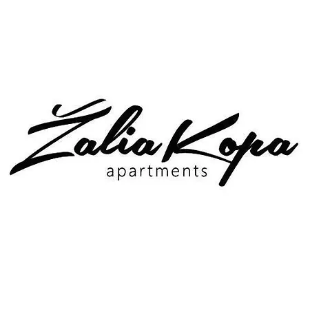 Apartamento Zalioji Kopa Kotedzas Su Dideliu Kiemu, 300 M Iki Juros Palanga