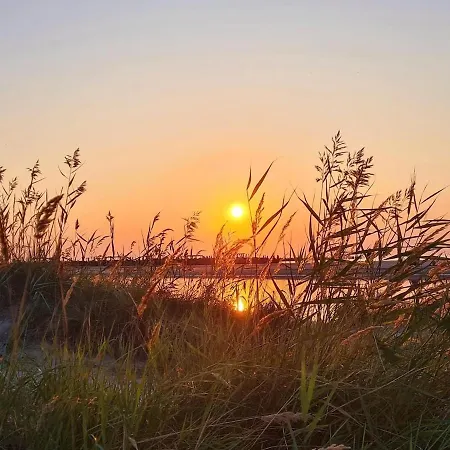 Zalioji Kopa Kotedzas Su Dideliu Kiemu, 300 M Iki Juros Palanga